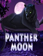 โปรแกรม สูตร เล่นสล็อตออนไลน์ CQ9 ที่ดีที่สุด